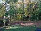 Wooded Back Yard