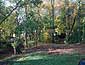Wooded Lot